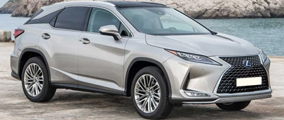Grey Lexus RX