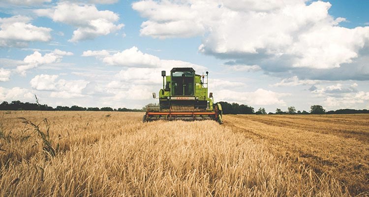 Tractor/Farmer