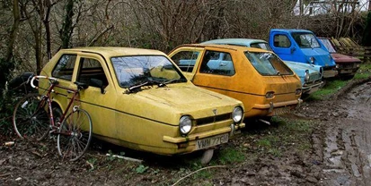 Reliant Robin Graveyard