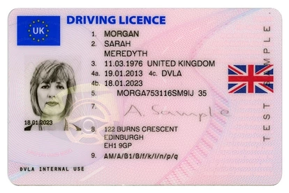 Driving Licence Example