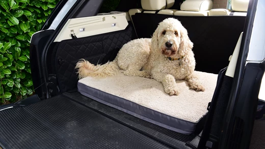 Fur-Friendly Fun: Top 5 Cars Perfect for Dog Owners